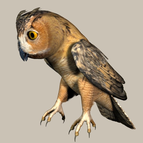 WIPperched.jpg