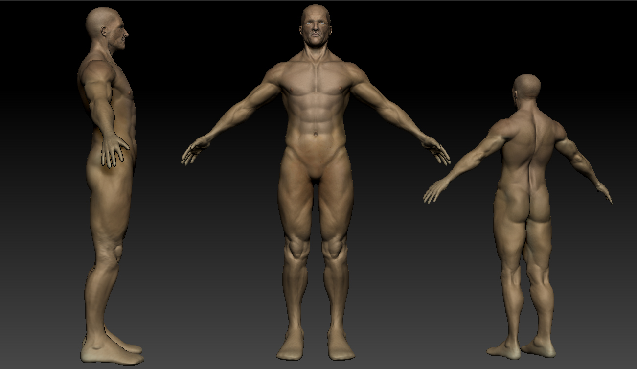 torso.jpg