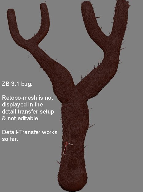 ZB3_1.jpg