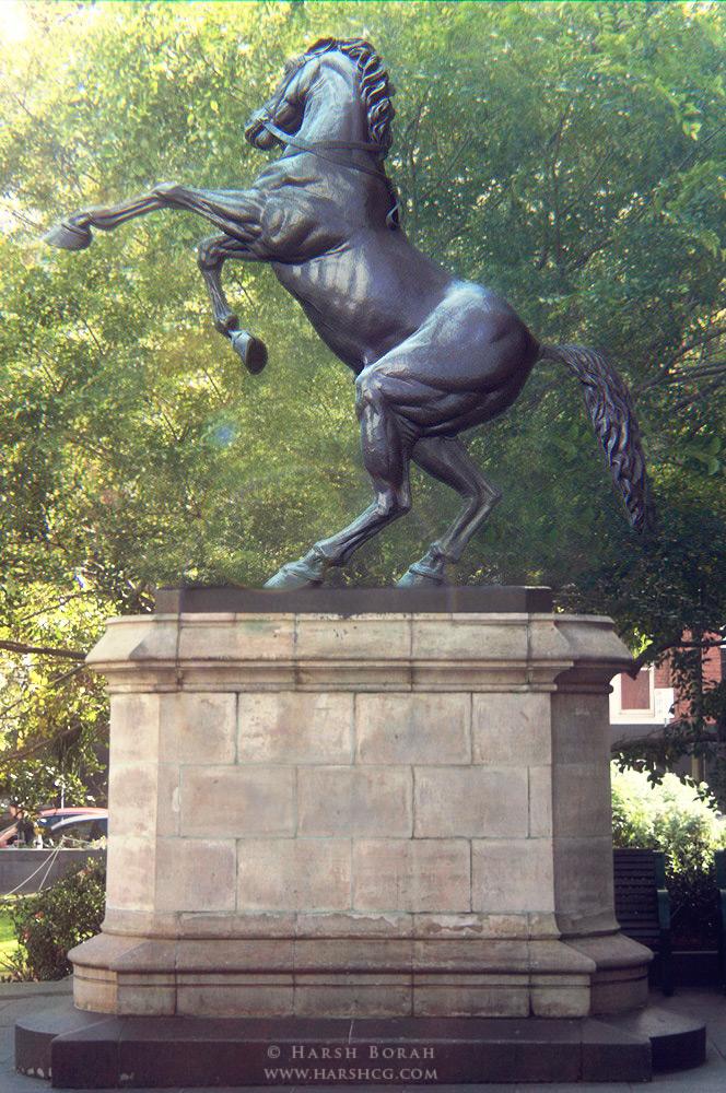horse_comp01_small.jpg
