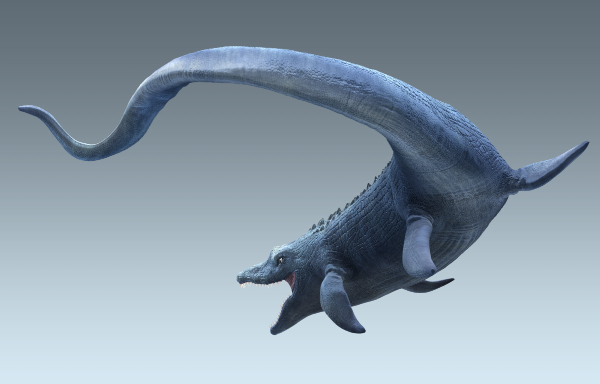mosasaurus_B_s