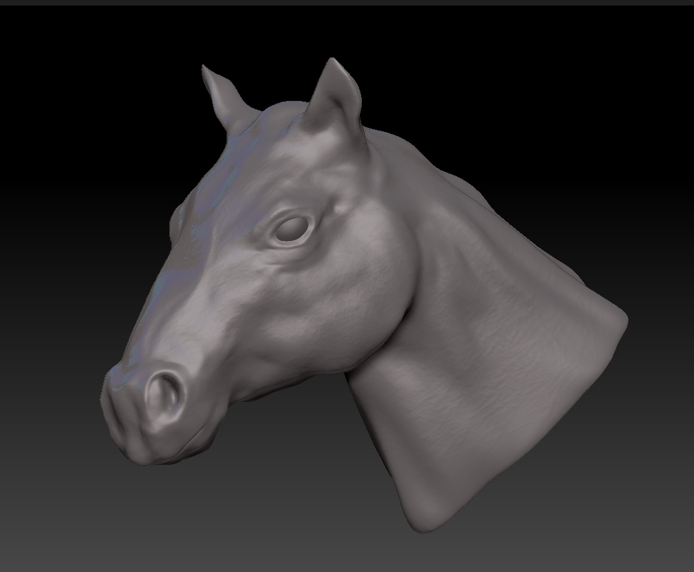horse1.jpg