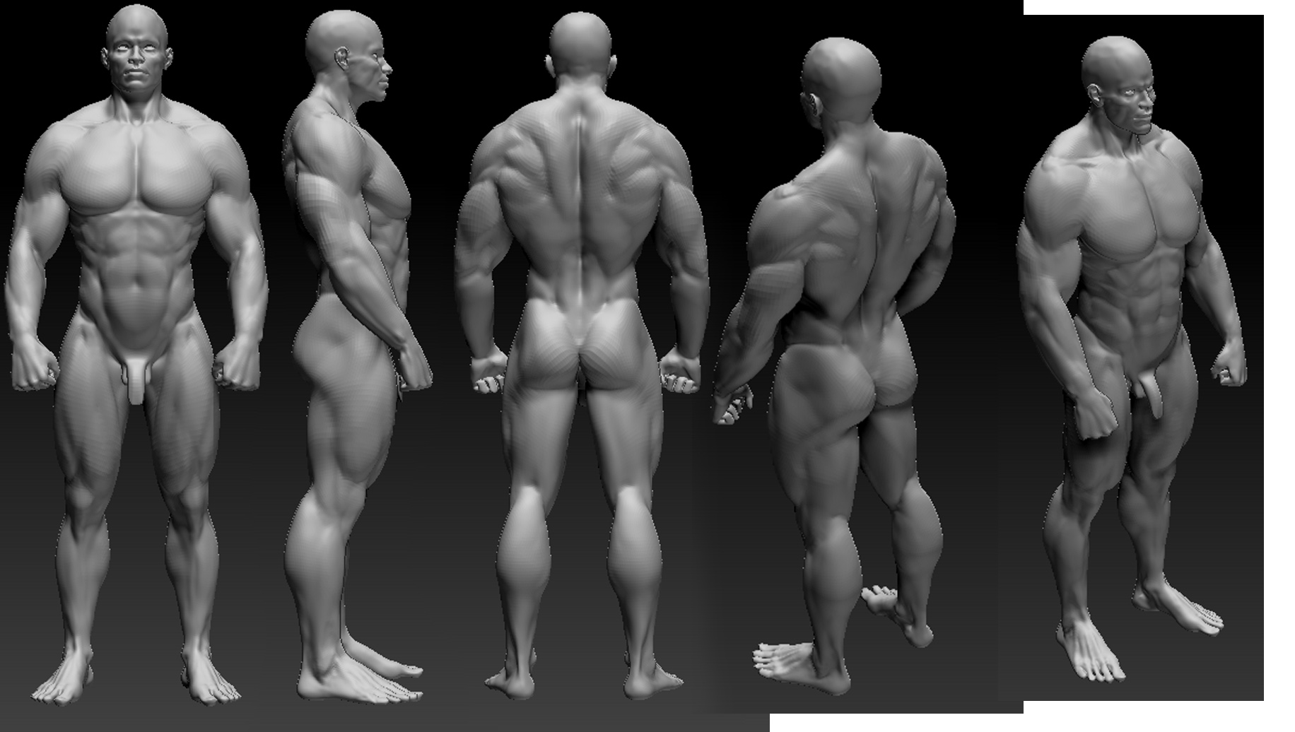 MUSCLEHEAD.jpg