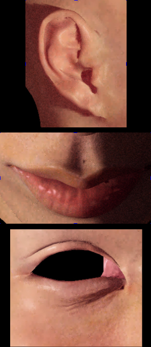 preview.jpg
