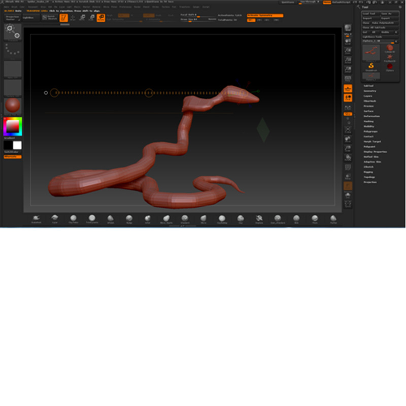 snake_prob_11.jpg