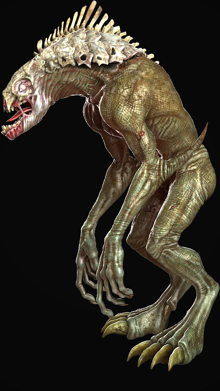 b.jpg