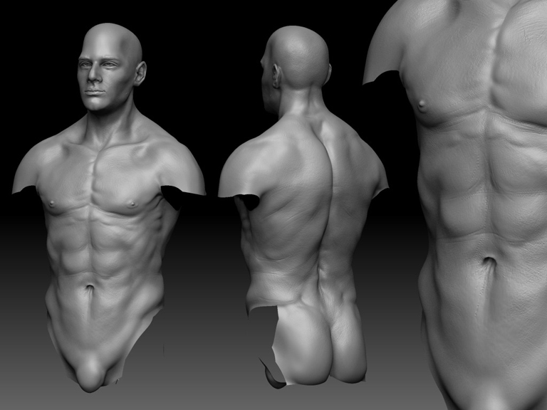 ACK_ram_wip_14.jpg