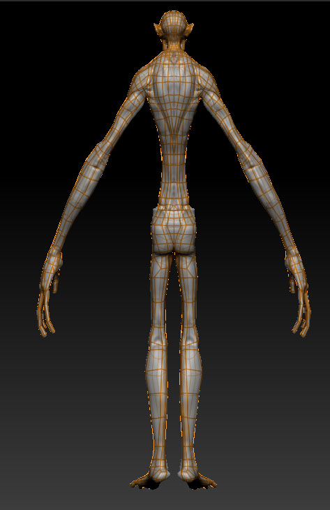toposhot1-back.jpg