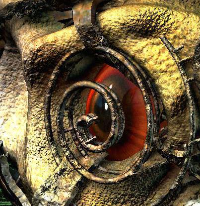 eye.JPG