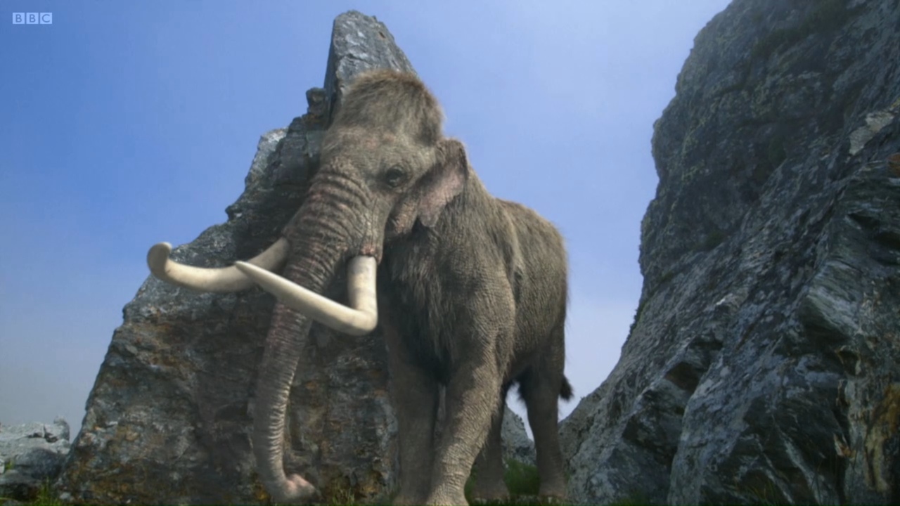 mammoth1.jpg