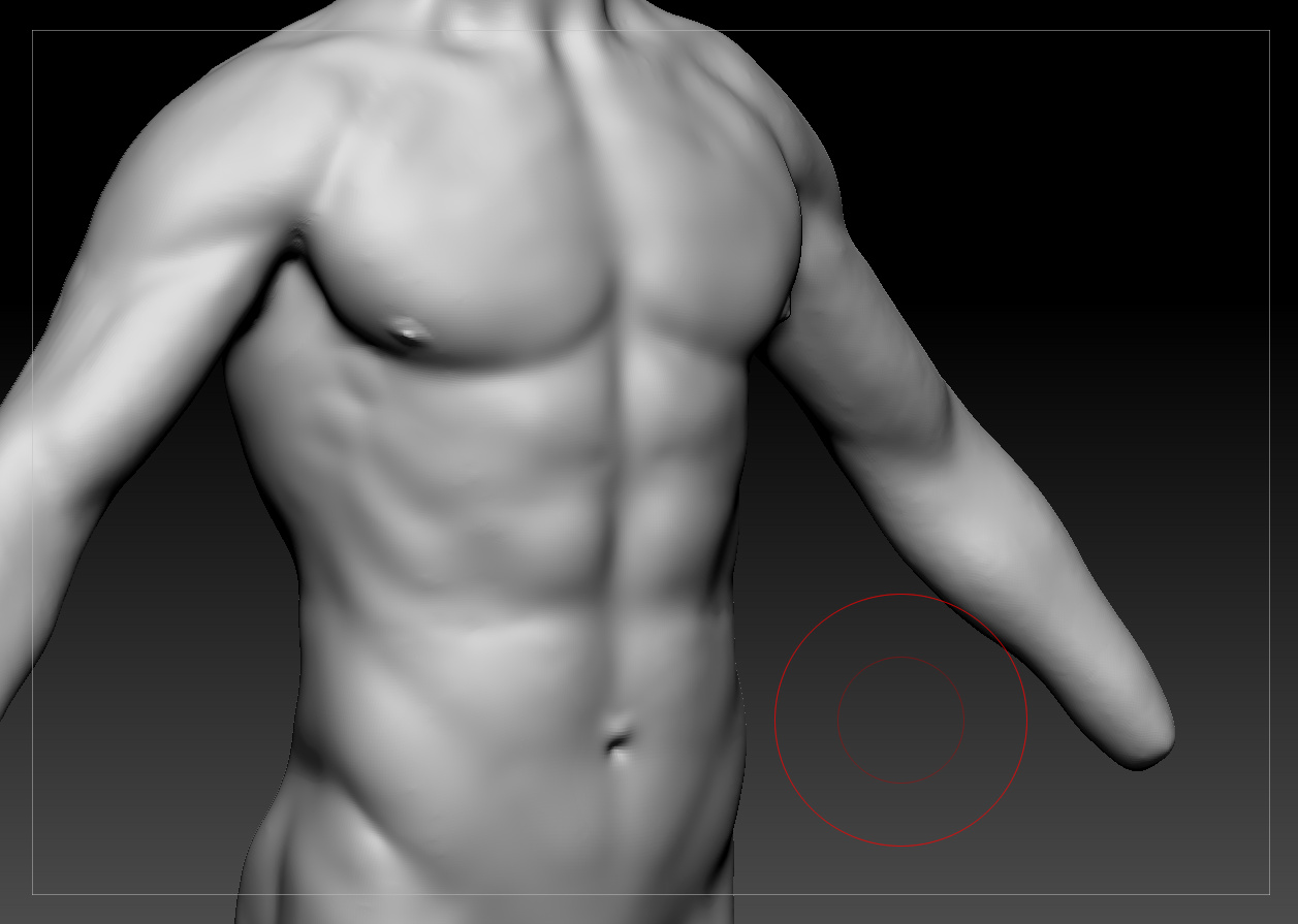 torso01.jpg