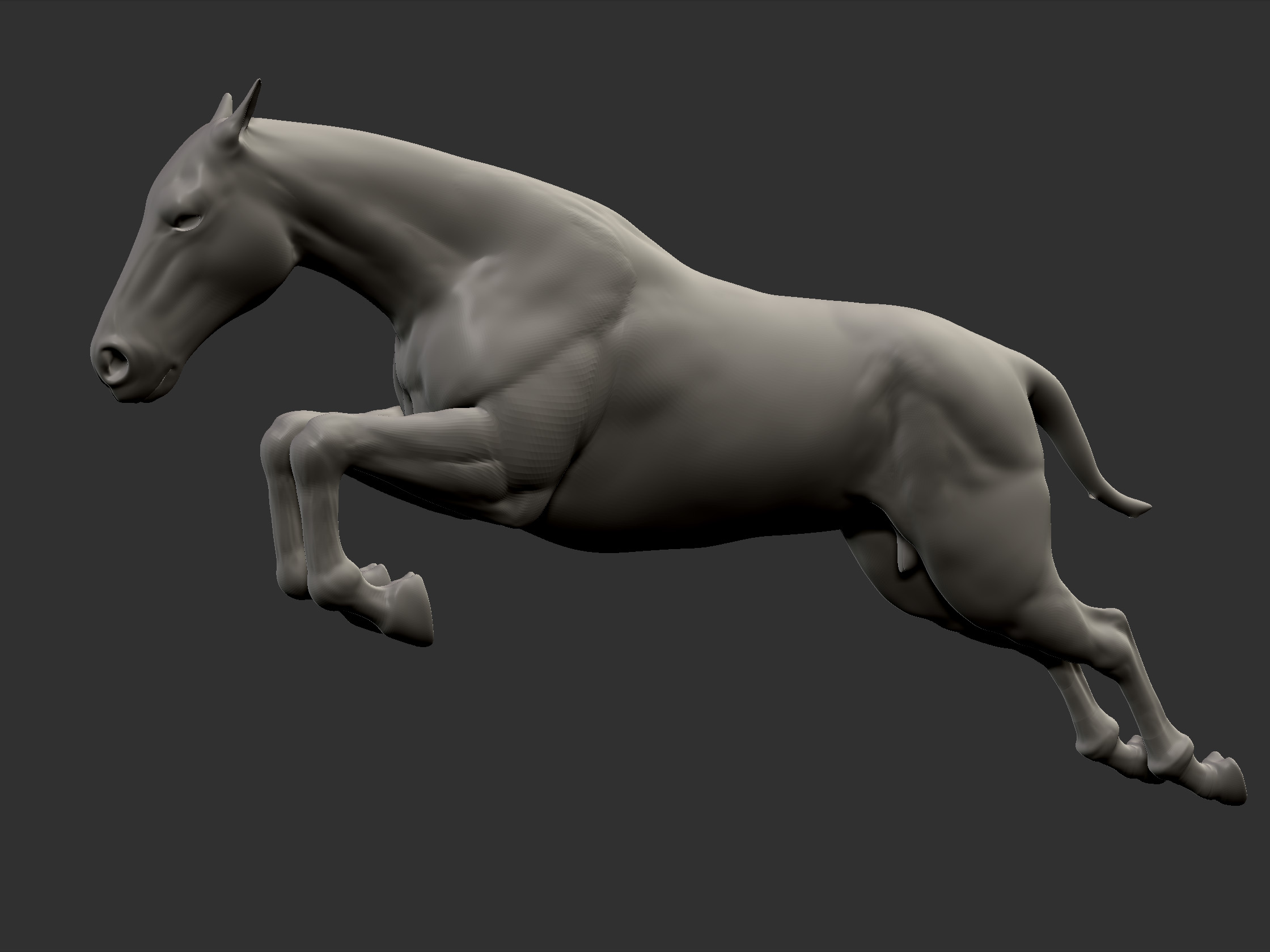 Horse03.jpg