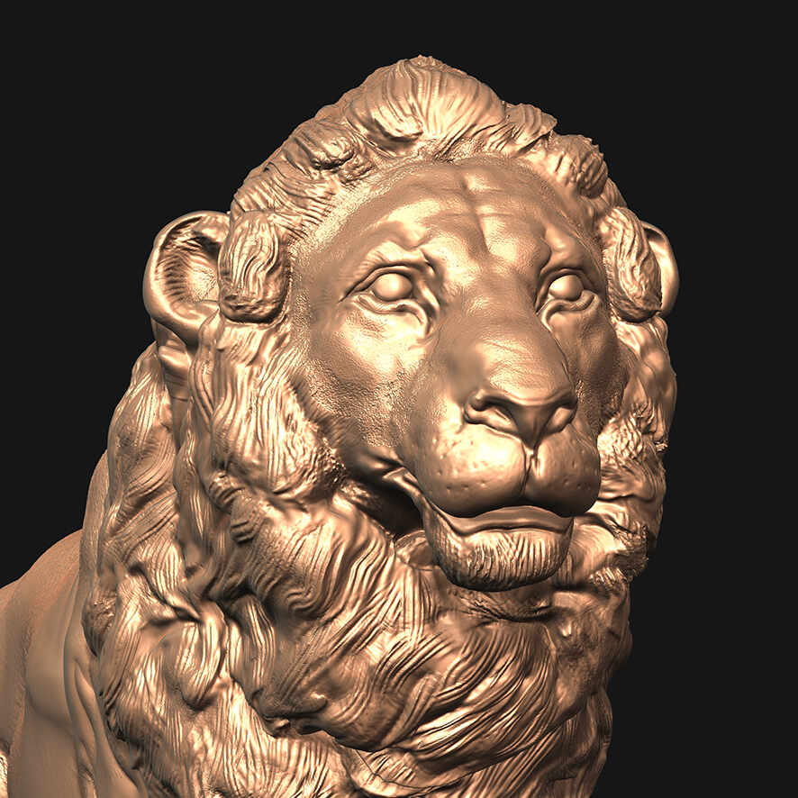 lion 2
