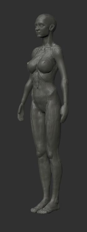 doll1.jpg