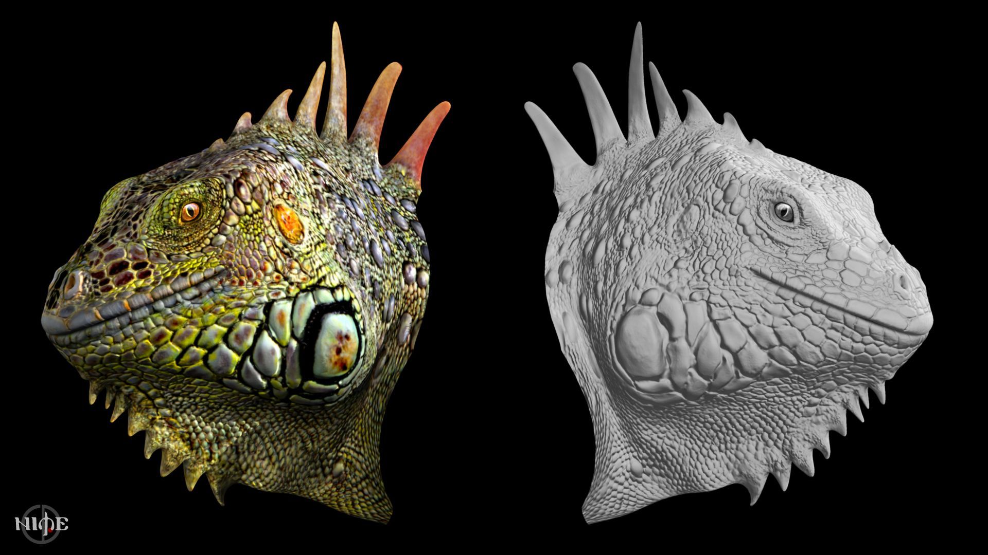 head.jpg