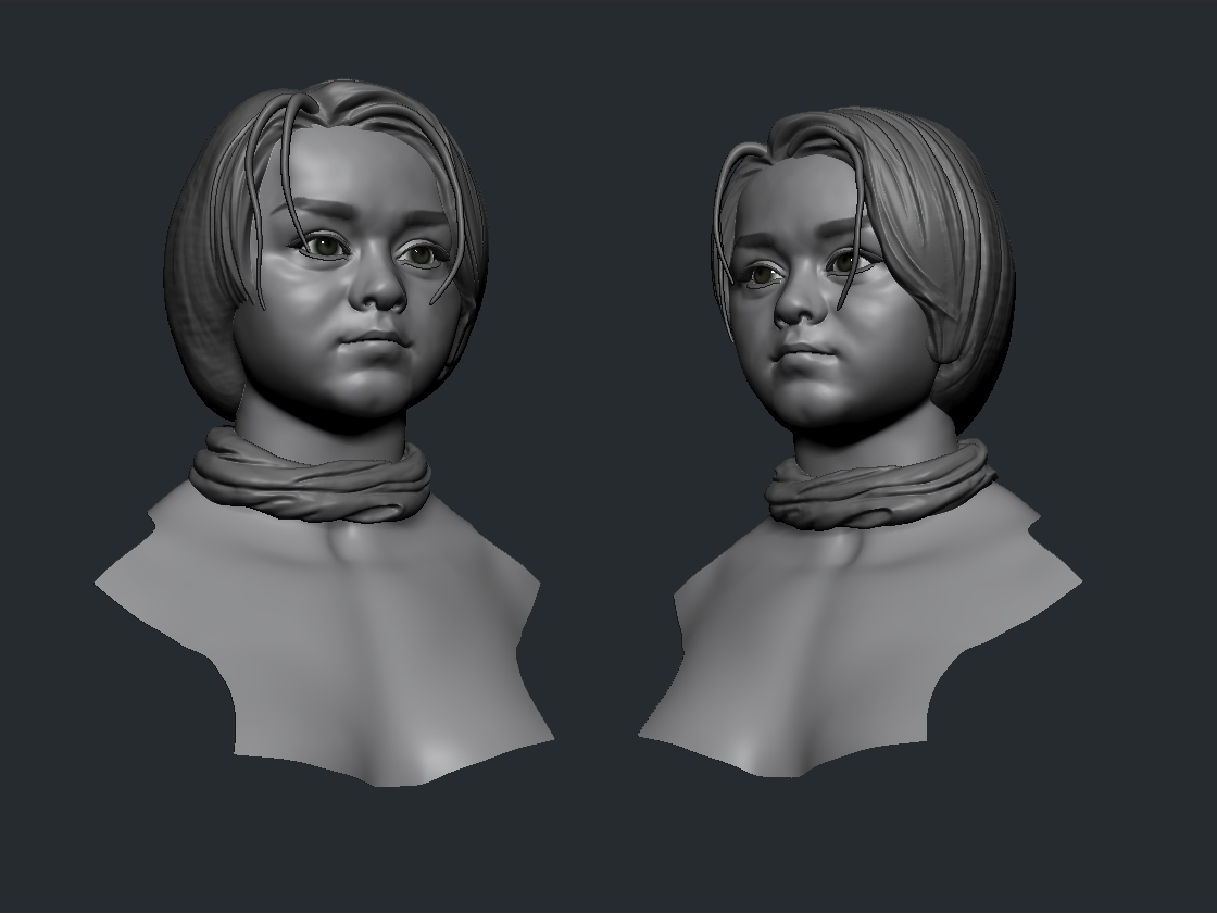 Arya_Wip3.jpg