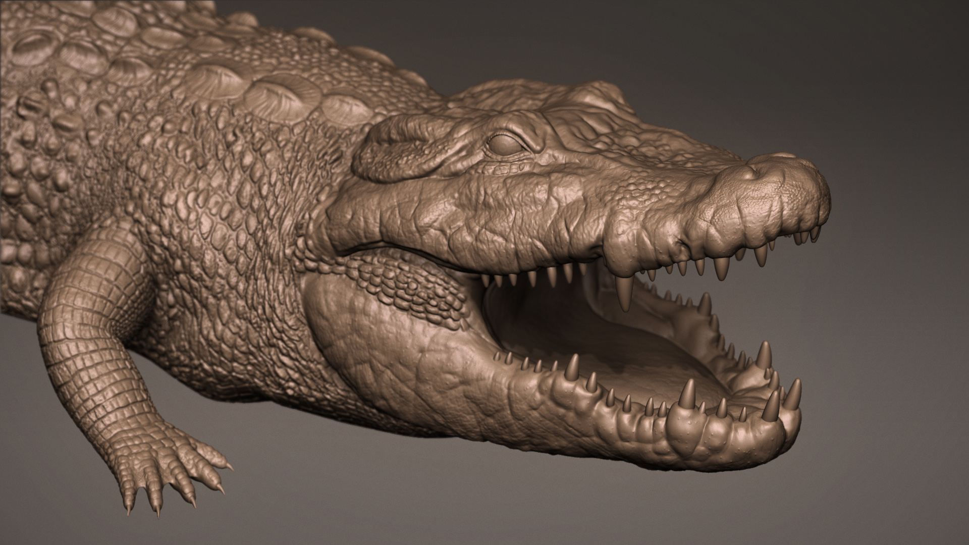 ivan-kocic-crocodilepresentation-hex-1.jpg