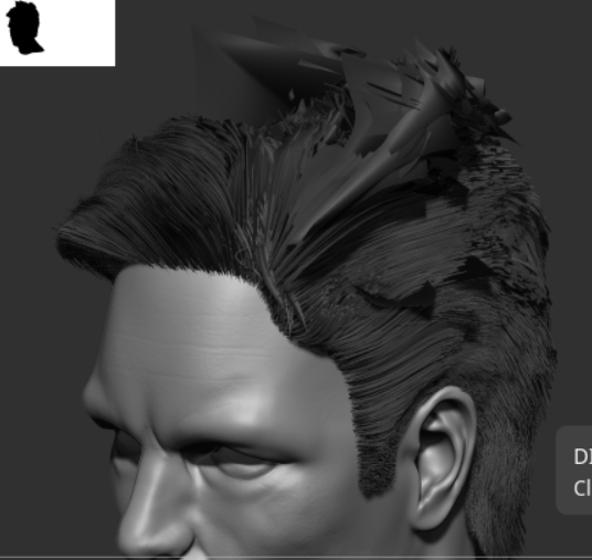 Hair1
