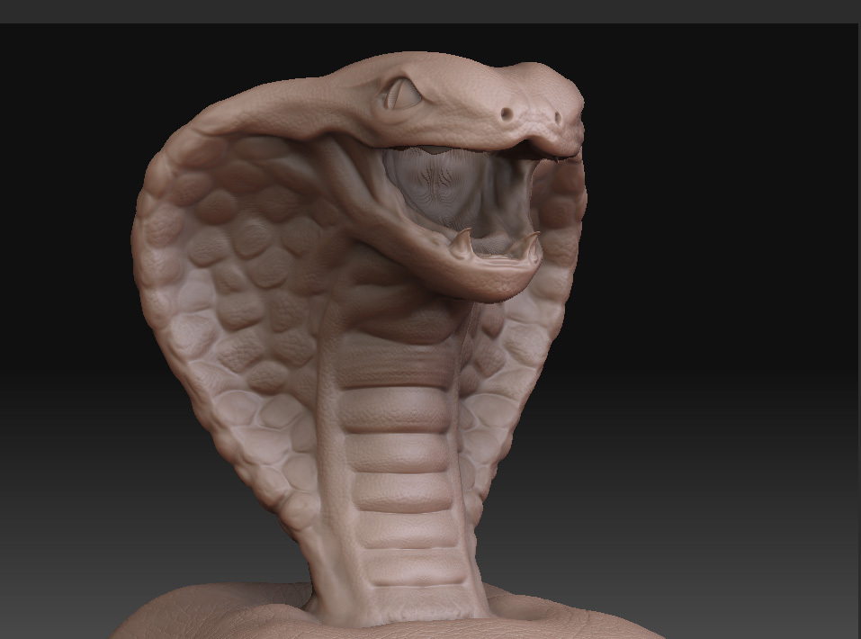 snake_2.jpg