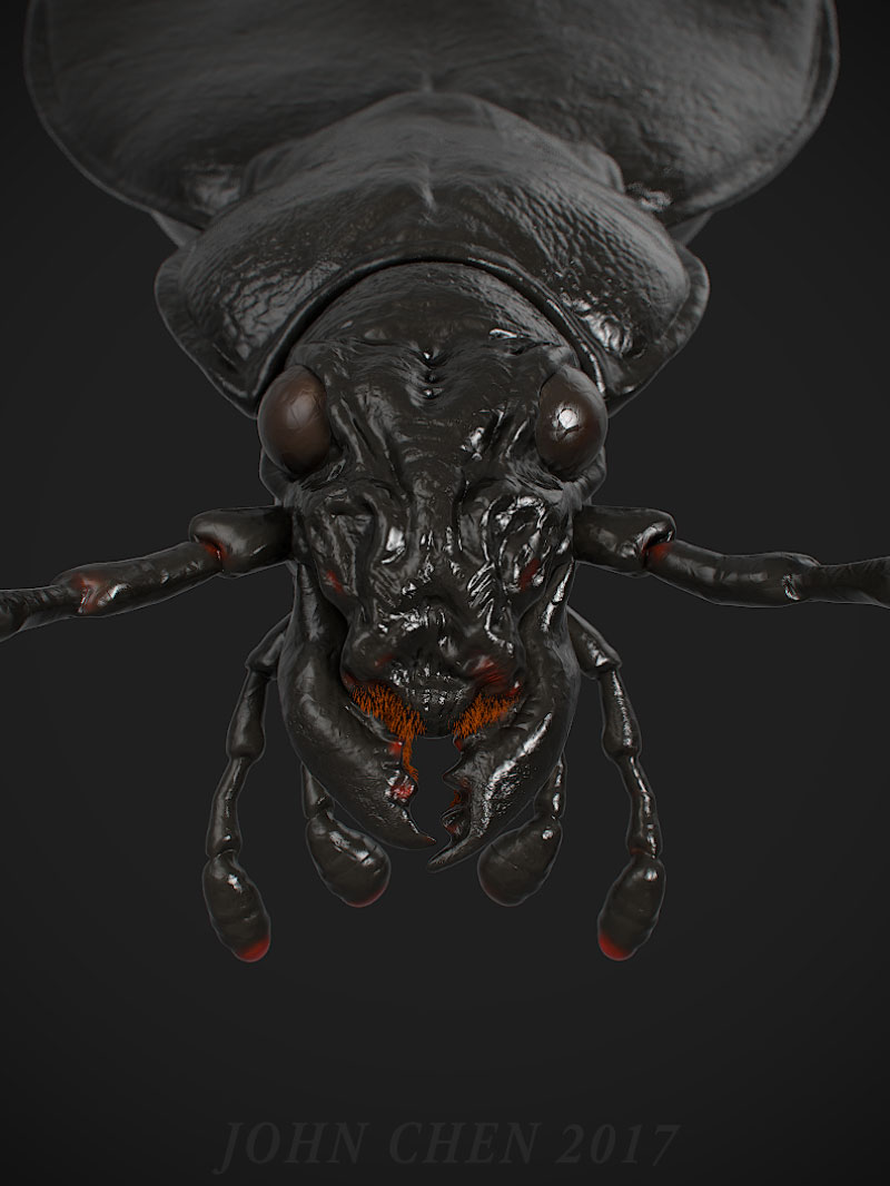 bug1.jpg