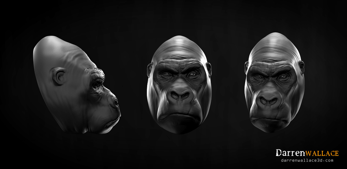Gorilla.jpg