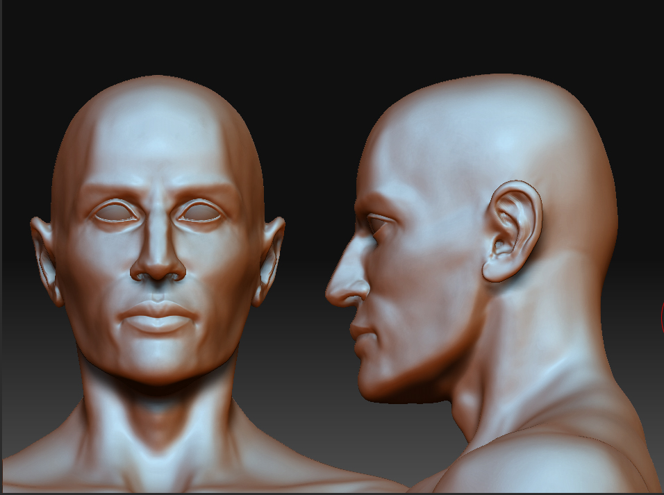 HEAD.jpg