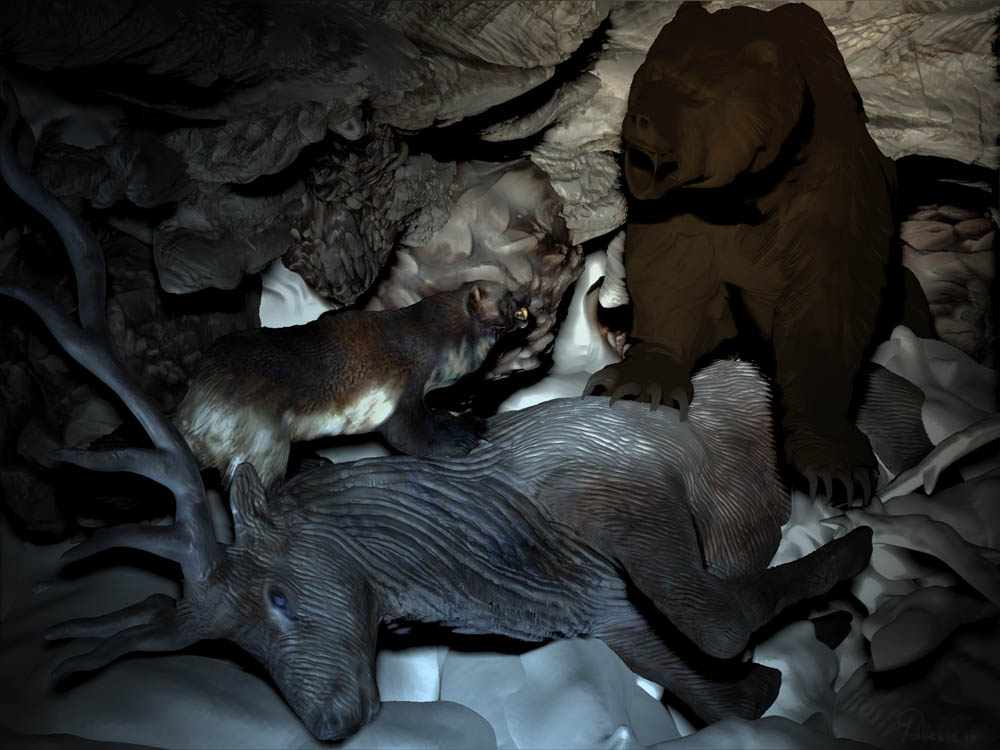 ELK FUR 37.jpg
