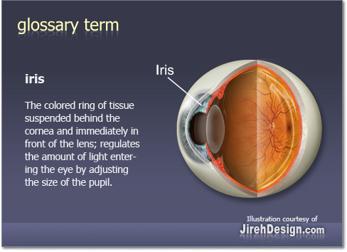 iris.jpg