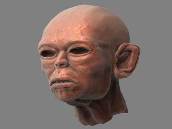with-skin3.jpg