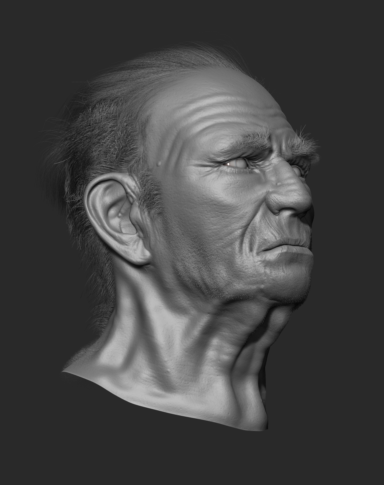 rough bust zbrush