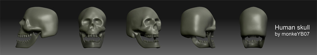 humanskullus0.jpg