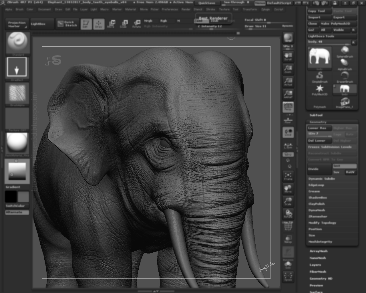 ANATOMY_R&D_SurajitSen_Asian_elephant_14032017_v01.JPG
