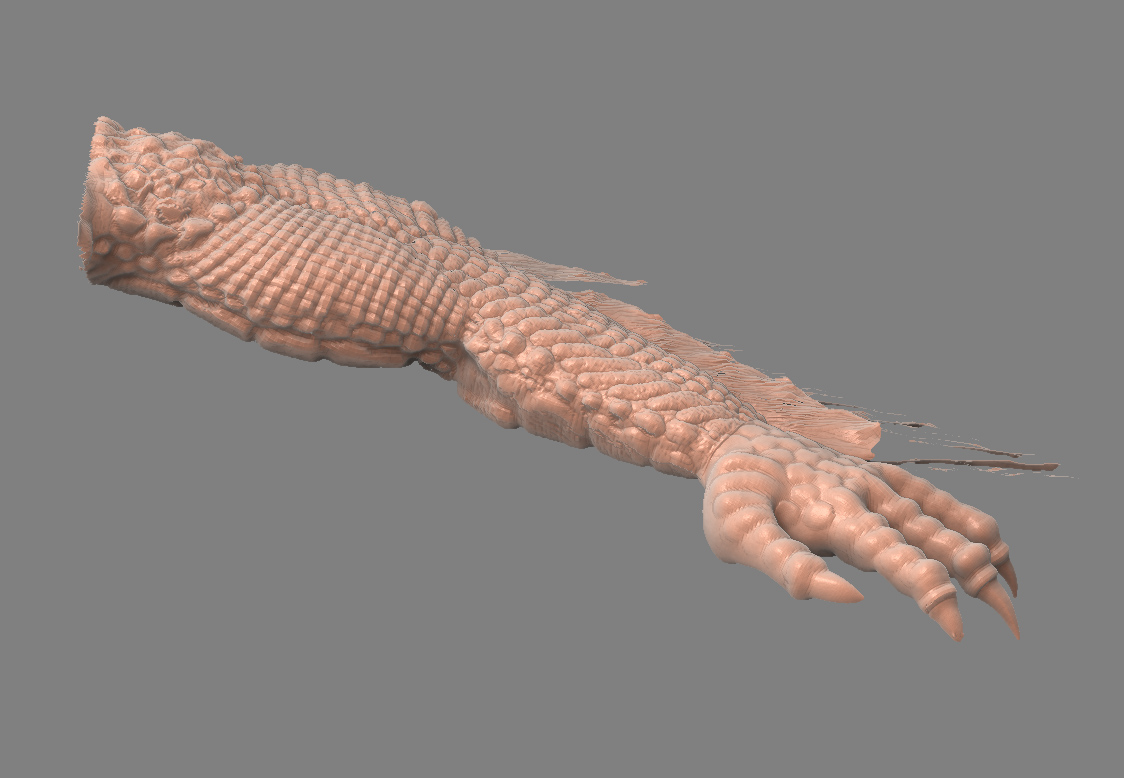 detailed-arm.jpg