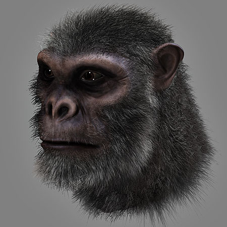 gallery_3d_005.jpg