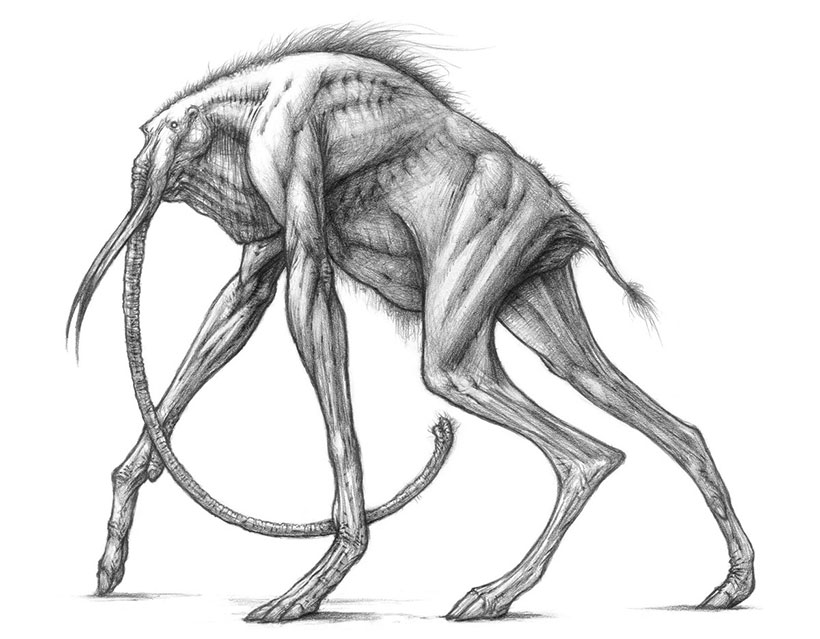 David_Igo_elephant creature.jpg