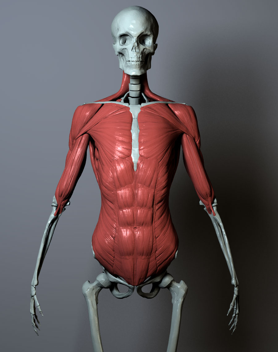 wip-1-053011.jpg