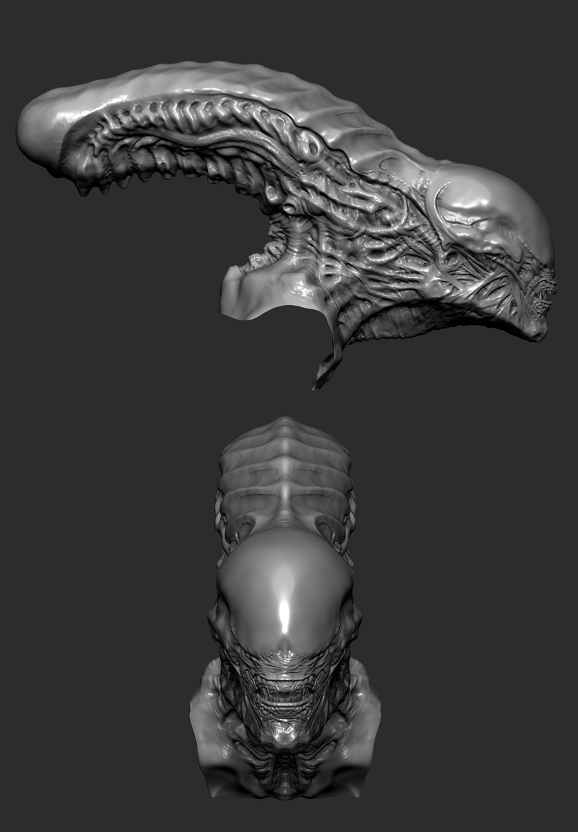 Head.jpg