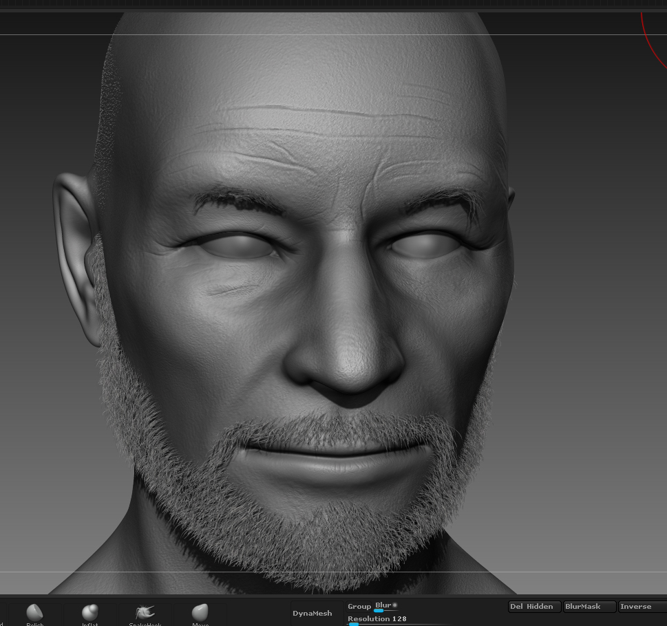 Patrick Stewart - Skin Detail & Beard4.jpg