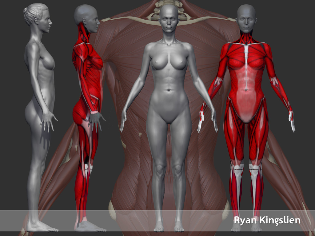 modelBreakdown.jpg