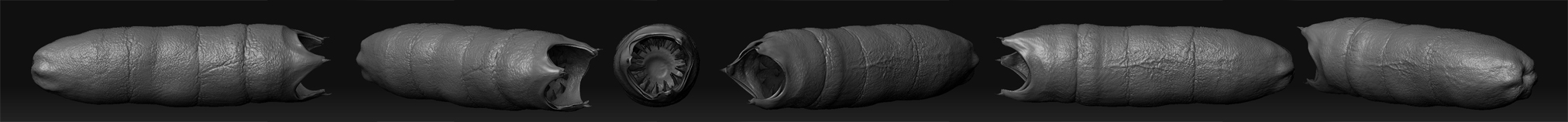 worm1.jpg