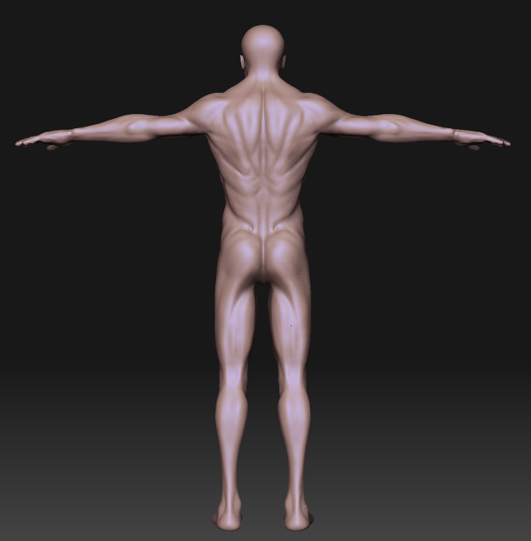 HumanBAck.jpg