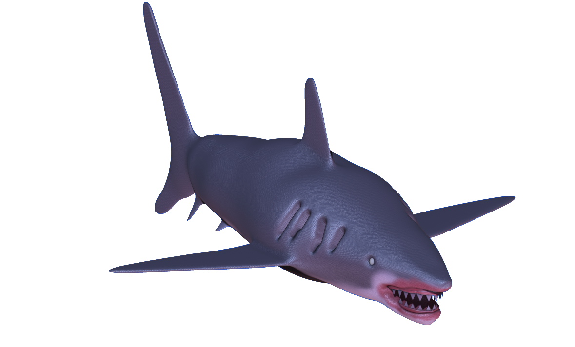 shark ps