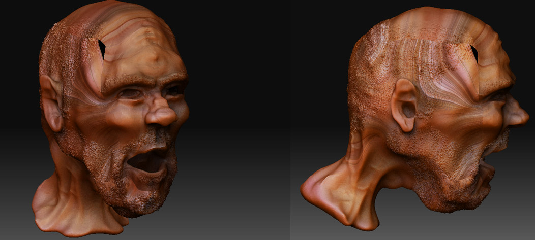face_portrait_problem.jpg