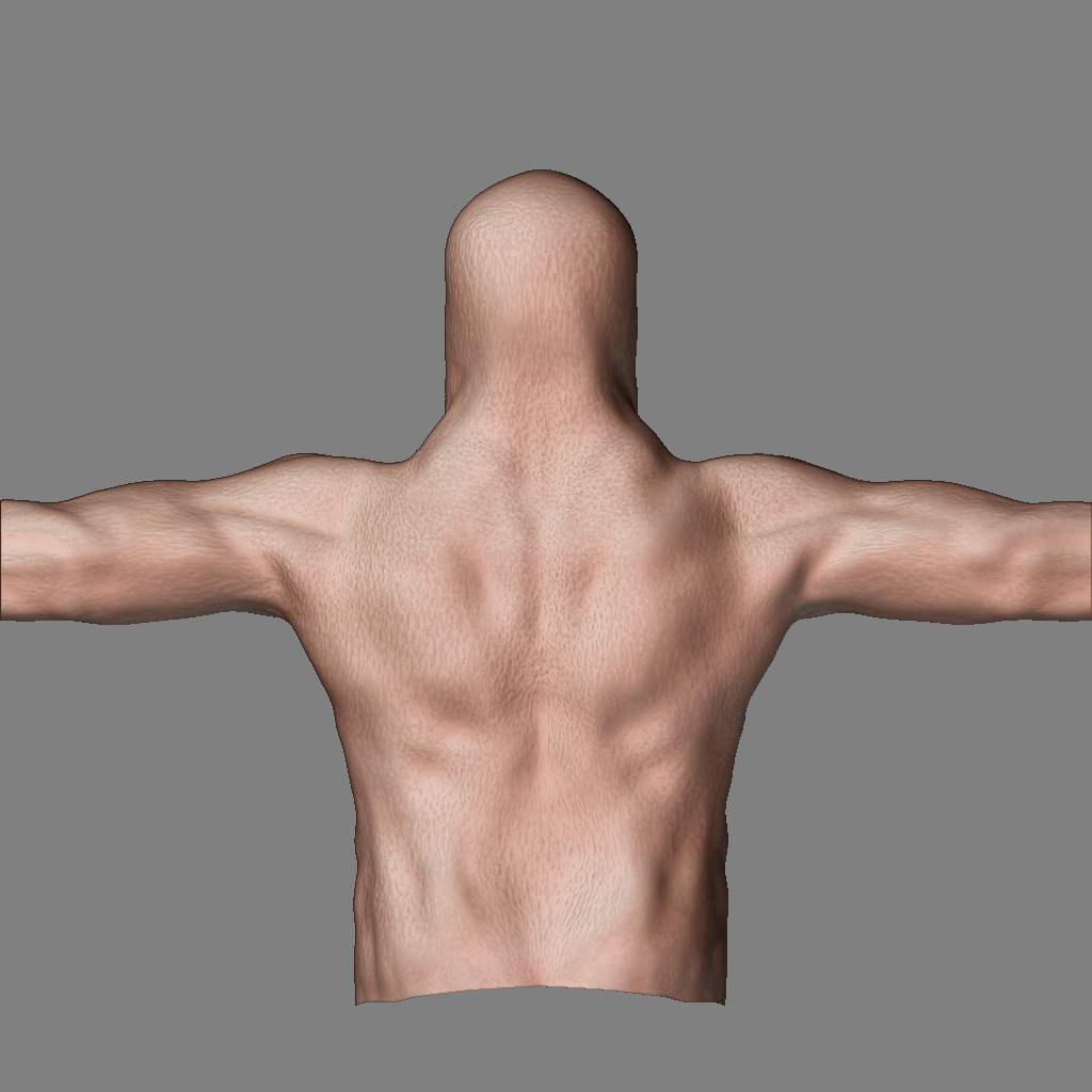 fixing torso03.jpg