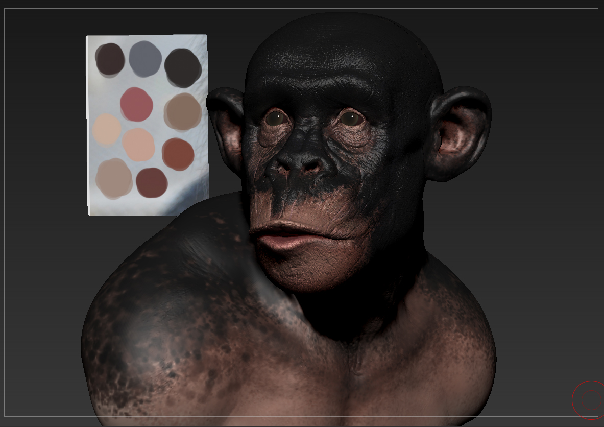 Chimp_0009