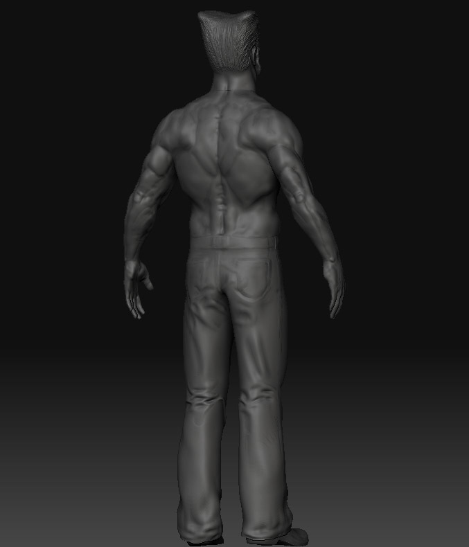 back_newproportions.jpg