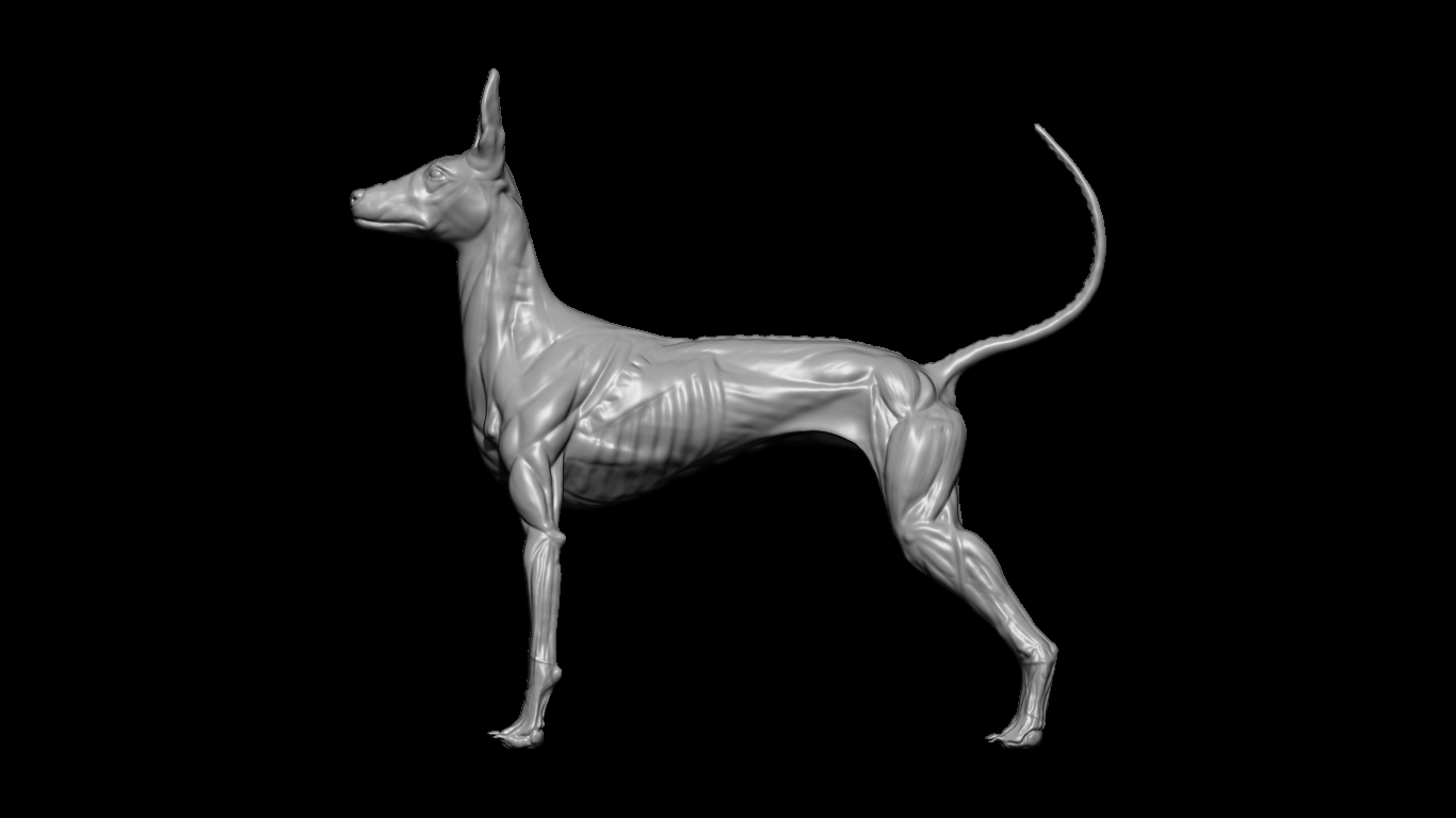 BPR_Render.jpg