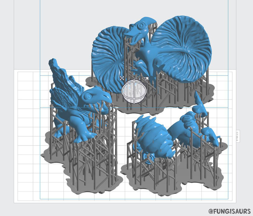 Fungisaurs_3Dprint_software.jpg