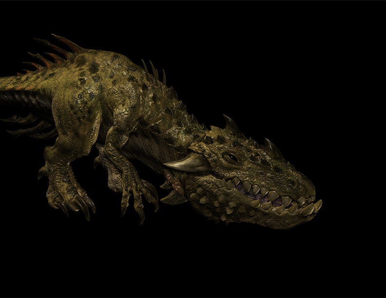 raptor003Lo.jpg