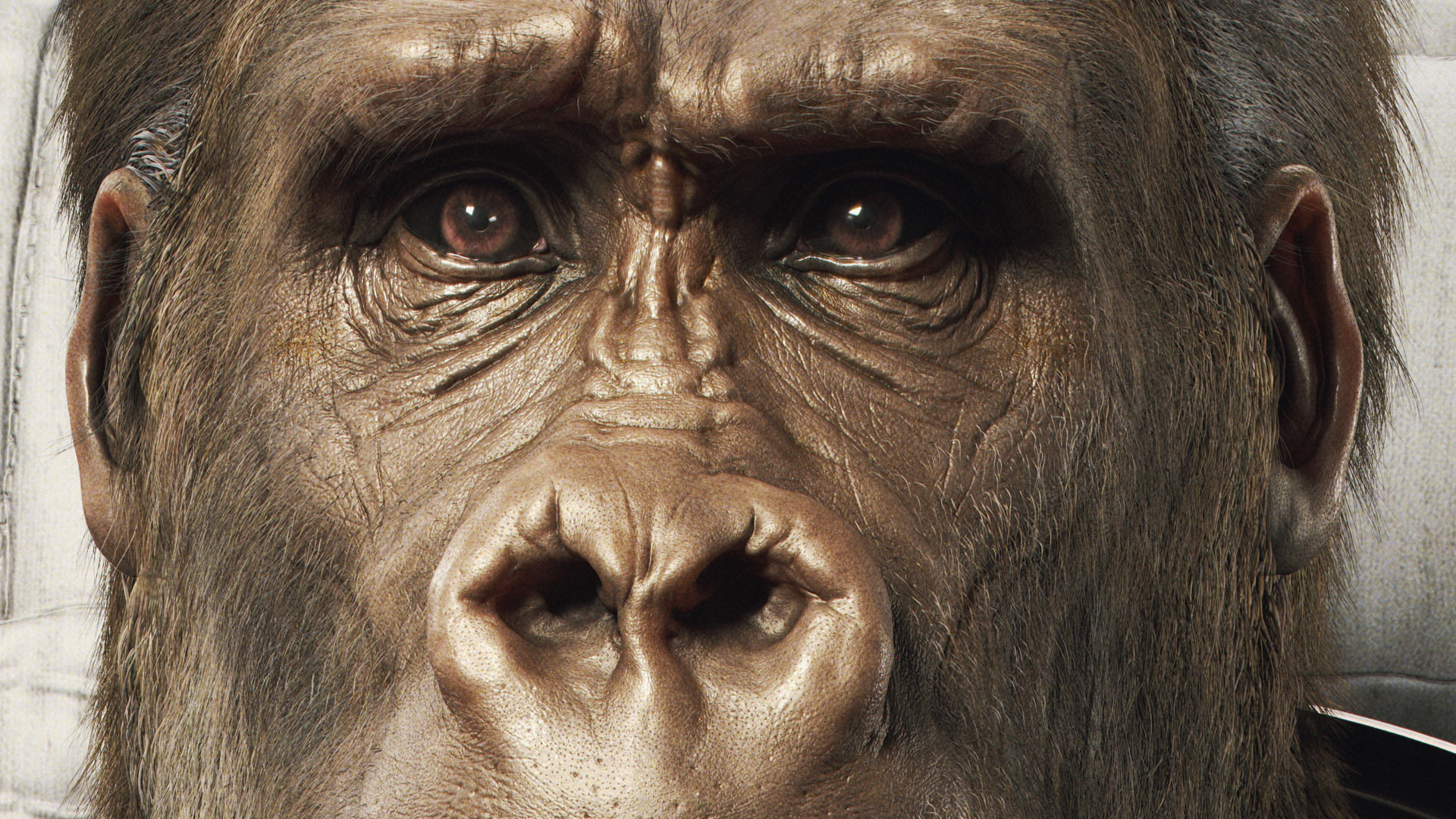 tomas-kral-mana-poster-web-detail01.jpg